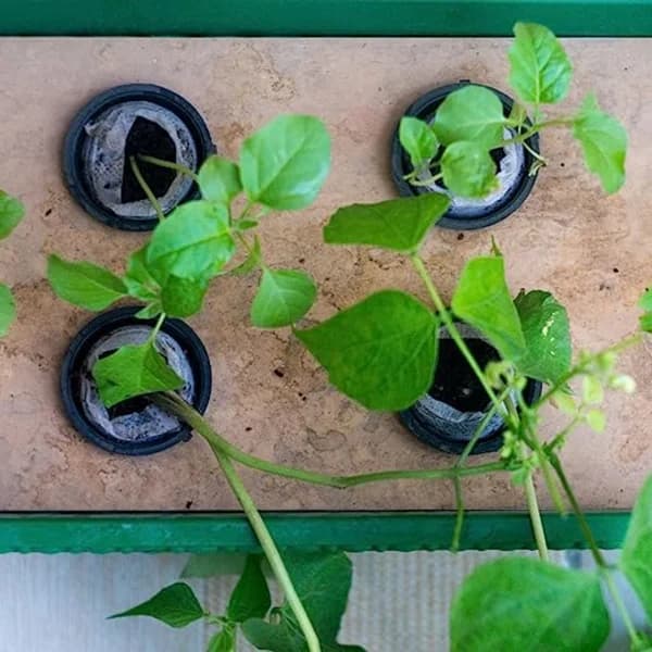 /EA/50 st plast hydroponiska korgar, nät hydroponisk planteringskruka