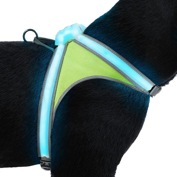 Noxgear Lighthound 360 Synlighed Multicolor Reflekterende Led Hundesele Flerfarvet L