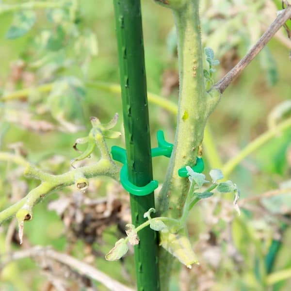 /EA/100 stk. plantestøtteclips, plastikclips til planter