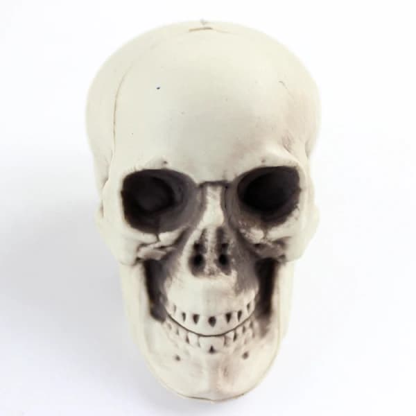 /EA/4-pack Miniatyrplastskallar Skelettskallar Halloween Skalle