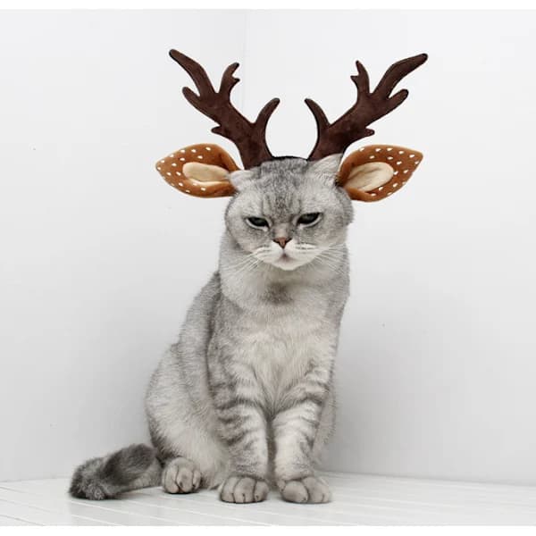 /EA/Julenisse katt hodeplagg, M30cm bueomkrets 30cm,