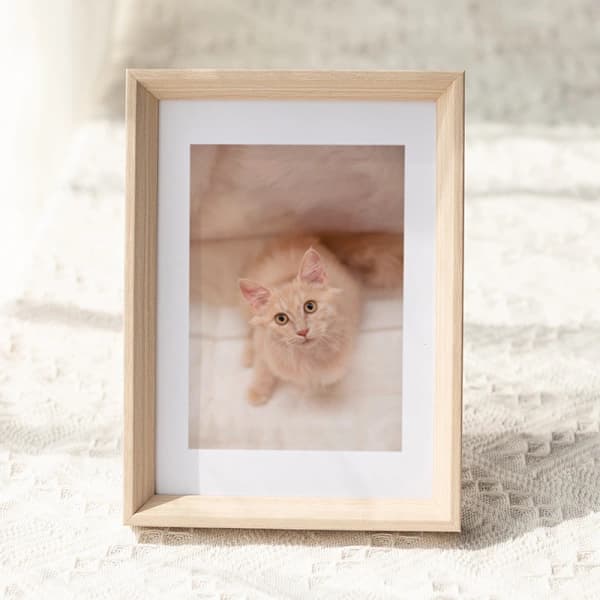 /EA/Skylight Frame - 10 tommer Wifi Digital Fotoramme, E-mail Foto