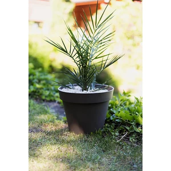 /EA/Rund antracittgrå blomsterpotte