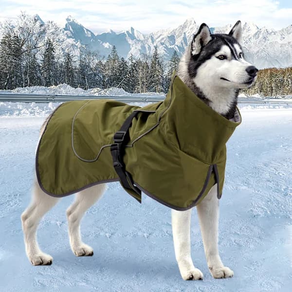 /EA/Stora hundkläder vinter bomullskläder tjockare varma reflexer