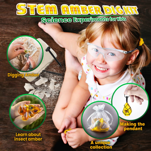 Amber Gemstone Dig Kit，Pedagogiska vetenskapssatser för barn i åldern 6 7 8 9 10，Kristaller och ädelstenspresenter för 6+ år gammal flicka Insekt bärnsten arkeologi kit