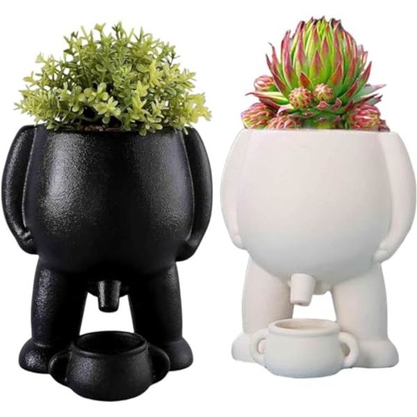 Rolig Keramisk Blomkruka, Kissande Planteringskruka, Pisskruka, Suckulentkruka Svart Vit Keramisk Dekor för Inomhusväxter Present black