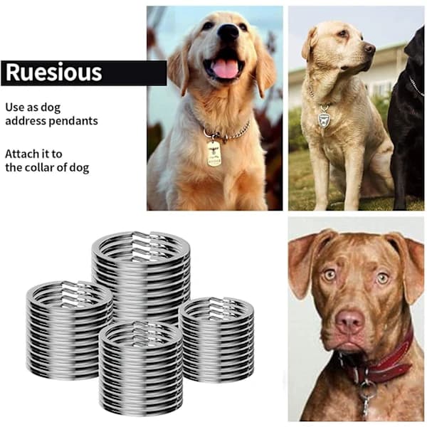 /EA/60 stk. 304 rustfri stål flade nøgleringe, velegnet til alle typer