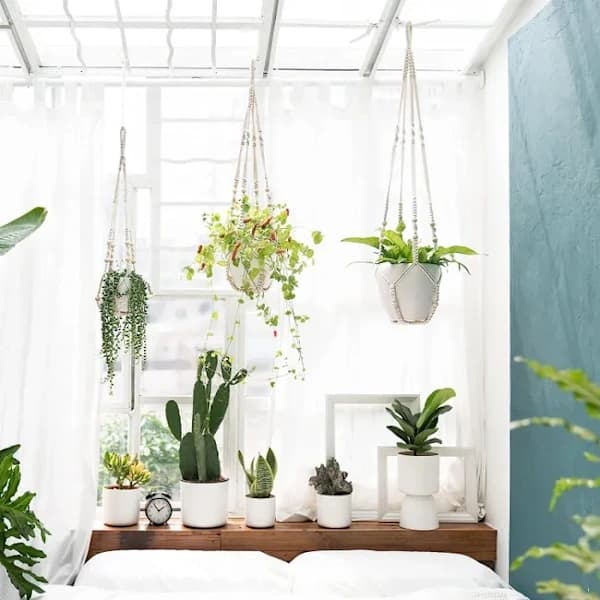 Makrame Växthängare Set Flätat Bomullsrep med Pärlor och Spets för Inomhus Utomhus Heminredning Vit 3-pack white 3PCS