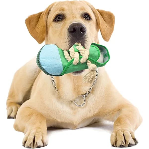 /EA/Tuggleksak för hund, tuggsäker interaktiv hundleksak med pip