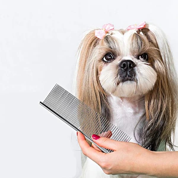 /EA/3-pak kæledyrskamme, 3 størrelser i rustfrit stål til hunde og