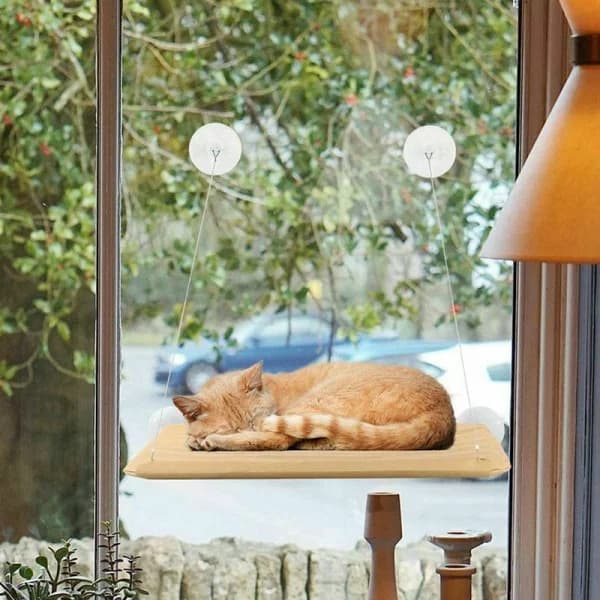 /EA/1 katteseng: vindushengekøye for katter