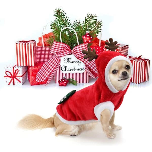 /EA/Hund Julkläder, Tomtekläder Söt Ren