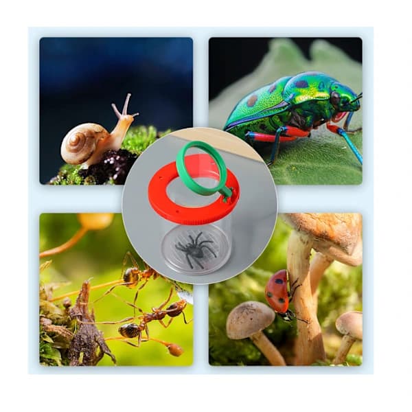 /EA/Et insektsobservationsforstørrelsesglas, 7,6 cm × 7 cm Kids Explora