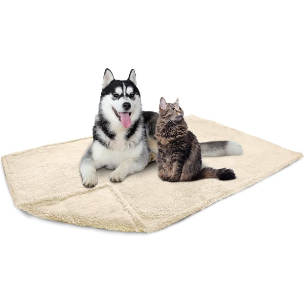 Ami Fluffy Vattentät Hundfilt för Säng Stora Hundar, Mjuk Varm Husdjur Sherpa Kast Kiss-Tålig Soffa Överdrag, Vändbar Katt B Beige X-Large (60x80)