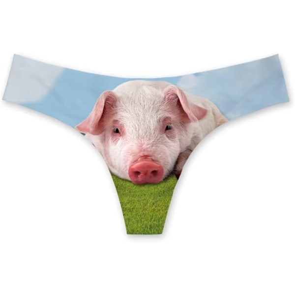 haitong Roliga underkläder kvinnor sexiga andningsbara högskurna trosor låg midja cheeky hipster S-3XL gris 3X-Large