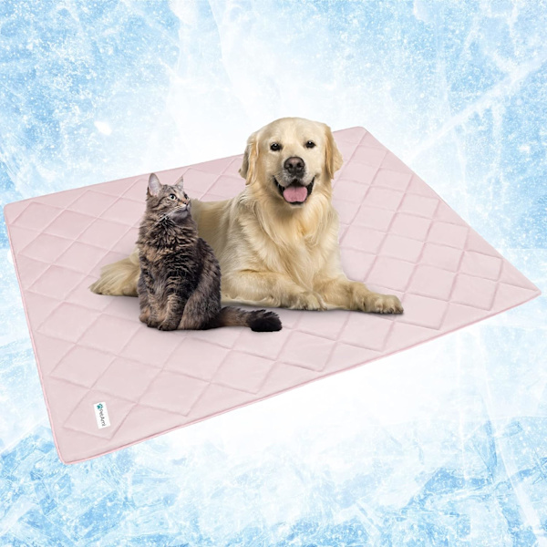 Ami Premium Kyldyna för Hund | Lätt och fluffig filt för husdjur, sängöverkast för hundar, katter, valpar | Husdjursfilt Fu Rosa Queen (90x90)