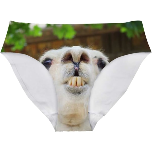 lukee Damunderkläder för kvinnor, sexiga underkläder, djurmode, bikinibyxor, byxor, möhippa, alpacka, 2 medium