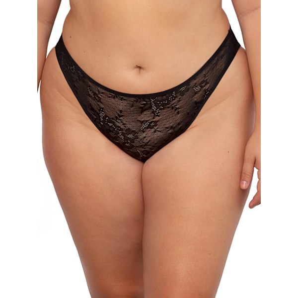 rt & Sexy Women's Mesh High Leg Panty 2 Pack Black Hue/Lilac Small