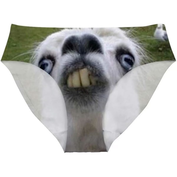 lukee Damunderkläder för kvinnor, sexiga underkläder, djurmode, bikinibyxor, byxor, möhippa, rolig alpacka, X-Large