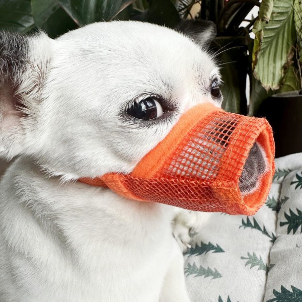 iLavin Mjukt Luftnät Hundmunstycke Mjuk Nylonmunstycke Anti Biting Barking Chewing Andningsbar Drickbar Justerbar Slinga Husdjur  Mesh-Orange Medium