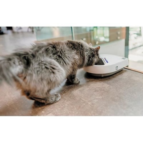 Automatisk matare - Closer Pets - C300 - 3 måltider - Digital timer - Vit plast Vit