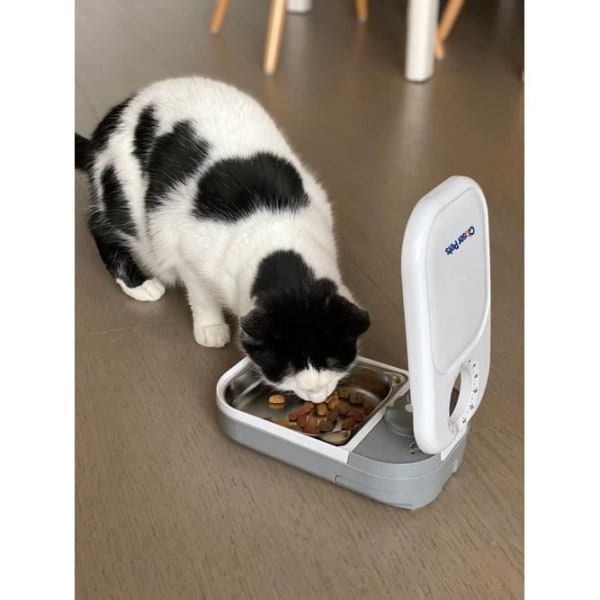 Closer Pets Single Meal Automatisk husdjursmatare med rostfria stålinsatser (C100) Vit