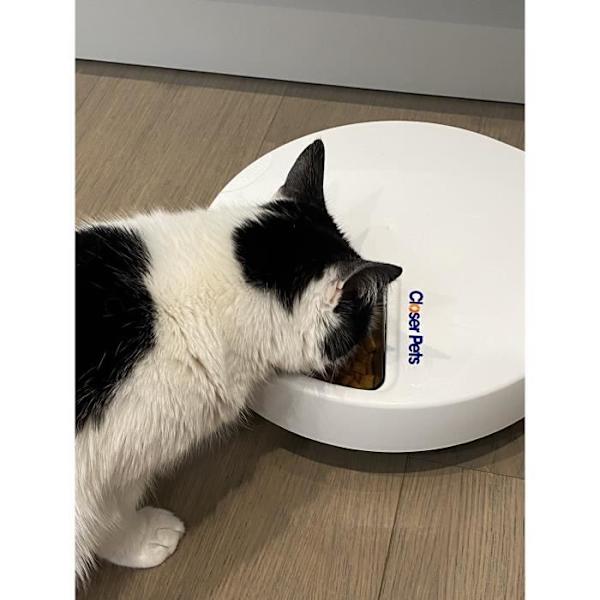 Closer Pets Insatser i rostfritt stål för femmålsautomatiska husdjursmatare (endast skålar) (paket med 5)