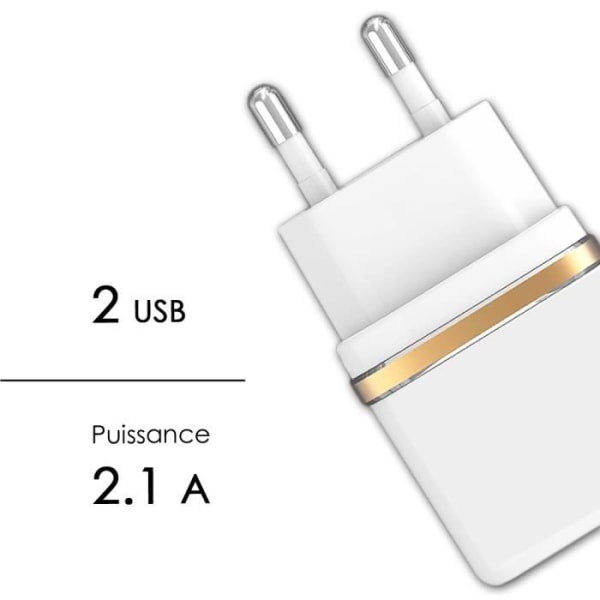 Dobbelt USB-netoplader + nylonflettet mikro-USB-kabel 1,3 meter dataoverførsel til Danew Konnect 601 Izee Vit