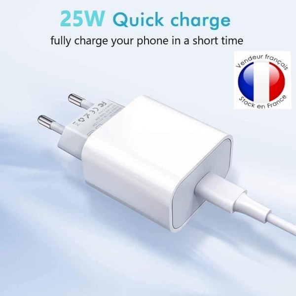 Superhurtig opladerpakke + dobbelt type C-kabel til Samsung Galaxy S21+ 5G Exynos-oplader 25W Ultra-kraftig NY GENERATION