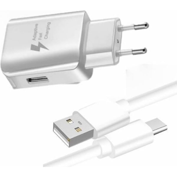 Oplader + kabelpakke til Samsung Galaxy S21 FE SD888 Hurtigoplader Ultra-kraftig og hurtig 3A med USB-Type C-KABEL Vit