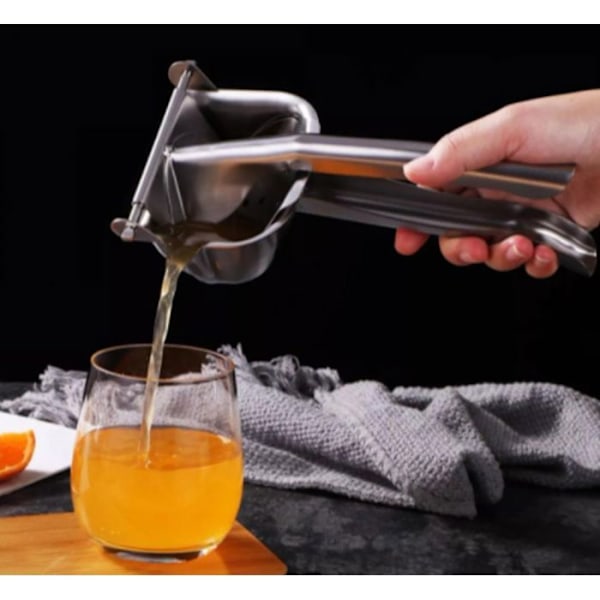 Herzberg HG8107 Citrus Juicer i rostfritt stål Pengar