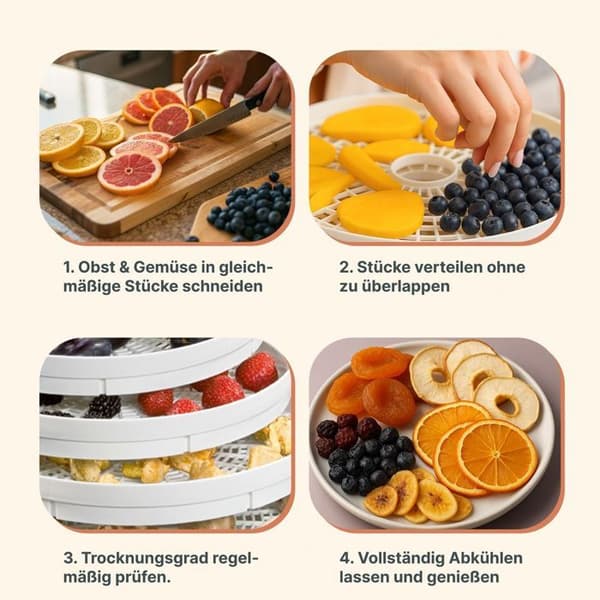 Dehydrator - CLATRONIC - DR 2751 Vit - 5 stapelbara nivåer - 3,5 kg mat - 250 Watt