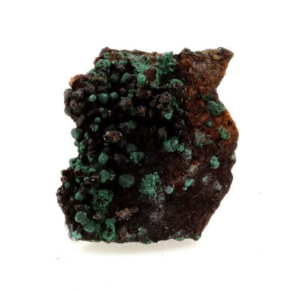 Sten og mineraler. Malakit. 76,6 ct. Sidi Ayed, Marokko.