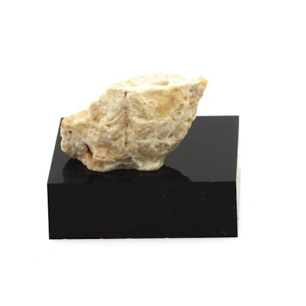 Pierre-Topfstein (Steatite). 19,50 cent. Tyskland