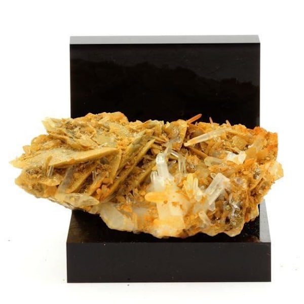 Sten og mineraler. Pyrit, siderit, kvarts. 738,9 cent. Mésage Mine, Vizille, Frankrig. Sjælden.