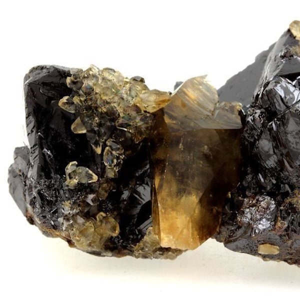 Sten og mineraler. Calcit + Sphalerit. 1595,0 øre. Elmwood Mine, Carthage, Tennessee, USA.