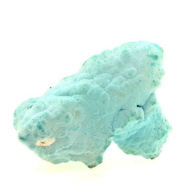 Sten og mineraler. Chrysocolla + Malakit. 1565,0 ct. Lupoto-minen, Katanga, Congo.