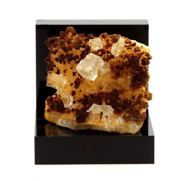 Sten og mineraler. Fluorit + Kvarts. 110,5 ct. Langeac, Haute-Loire, Frankrig. Sjælden.