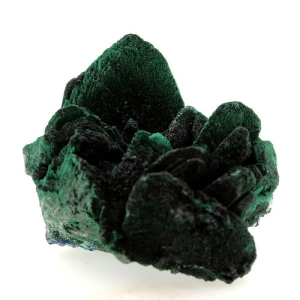Sten og mineraler. Malakit pseudo Azurit. 461,4 ct. Milpillas Mine, Sonora, Mexico.