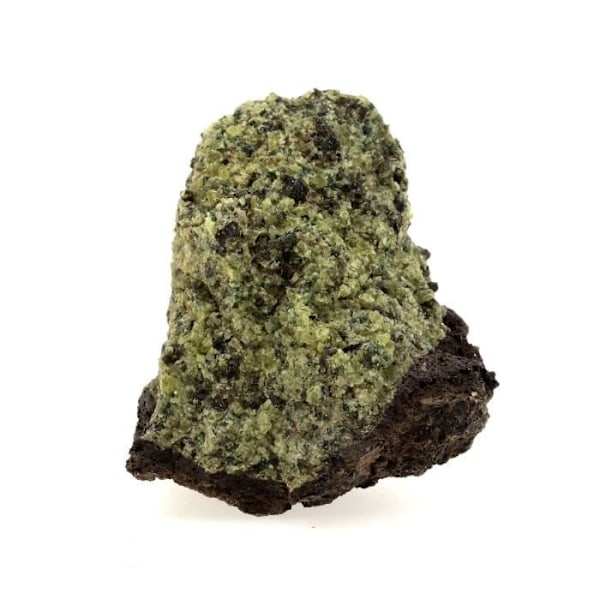Sten og mineraler. Peridotit. 665,3 ct. Mont Briançon, Haute-Loire, Frankrig.