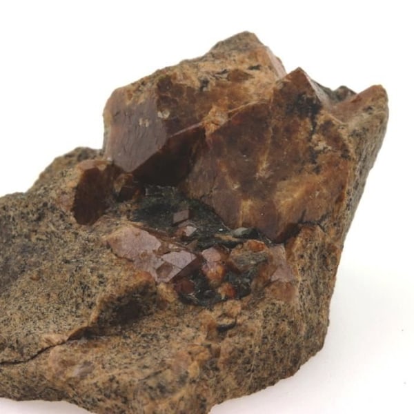 Sten-Grossular Catalansk Granat-Andradite. 341,3 øre. Pyrenæerne-Orientales, Frankrig