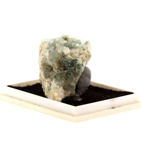 Sten og mineraler. Albit + Byssolite. 152,8 øre. Saint-Véran, Hautes-Alpes, Frankrig. Sjælden.