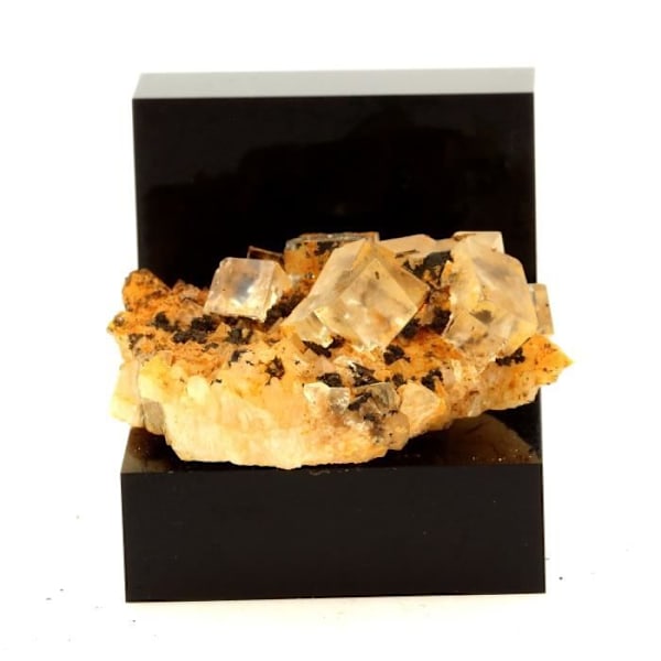 Sten og mineraler. Fluorit + Kvarts. 67,1 ct. Langeac, Haute-Loire, Frankrig. Sjælden.