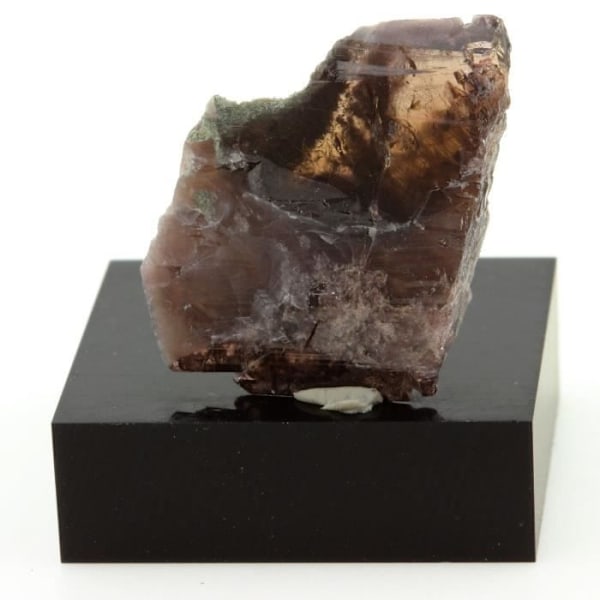 Stenar och mineraler. Axinit. 23,9 cent. Chamrousse, Belledonne, Isère, Frankrike.