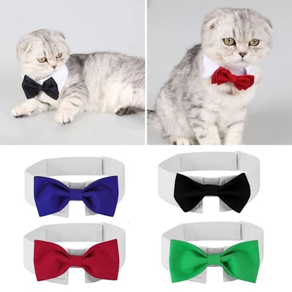 Hundeslips butterfly krave BLÅ S Blue S
