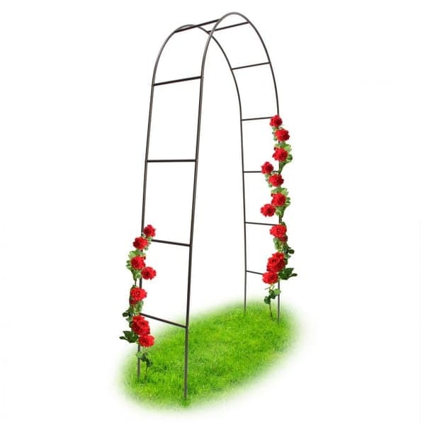 Rosenbue have 240 cm_NN