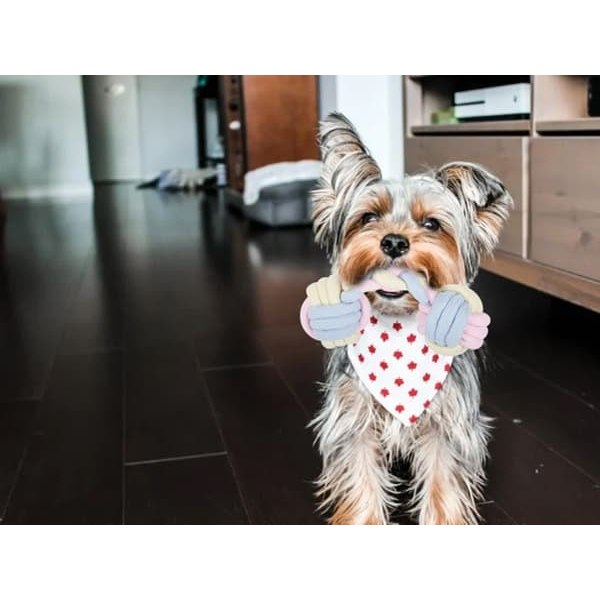 [NT] Tuggleksak / Dragleksak för Hund - Hundleksak