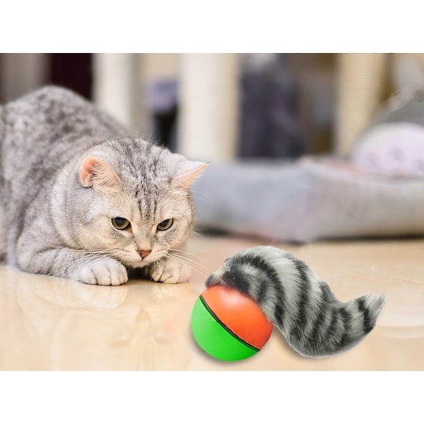 /Hc/Electric Cat Toy / Toy for Cat - Rolling Ball with Ferret