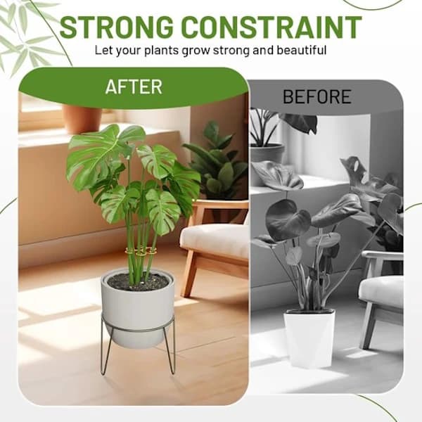 Monstera bladstöd - rund växtstödring - metall - 4-pack