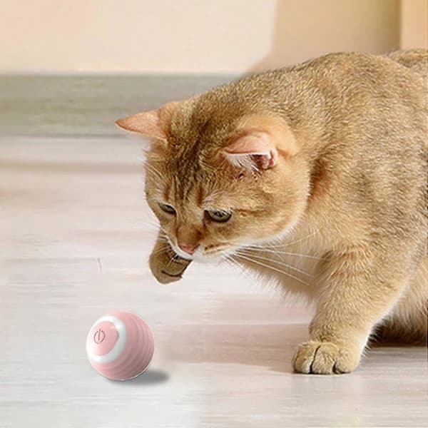 Interactive Cat Ball, Automatic Moving and Bouncing Pet Toy Ball, 360 Degree Rotating Avoiding Ball for Indoor Cats, Built-in Motion...